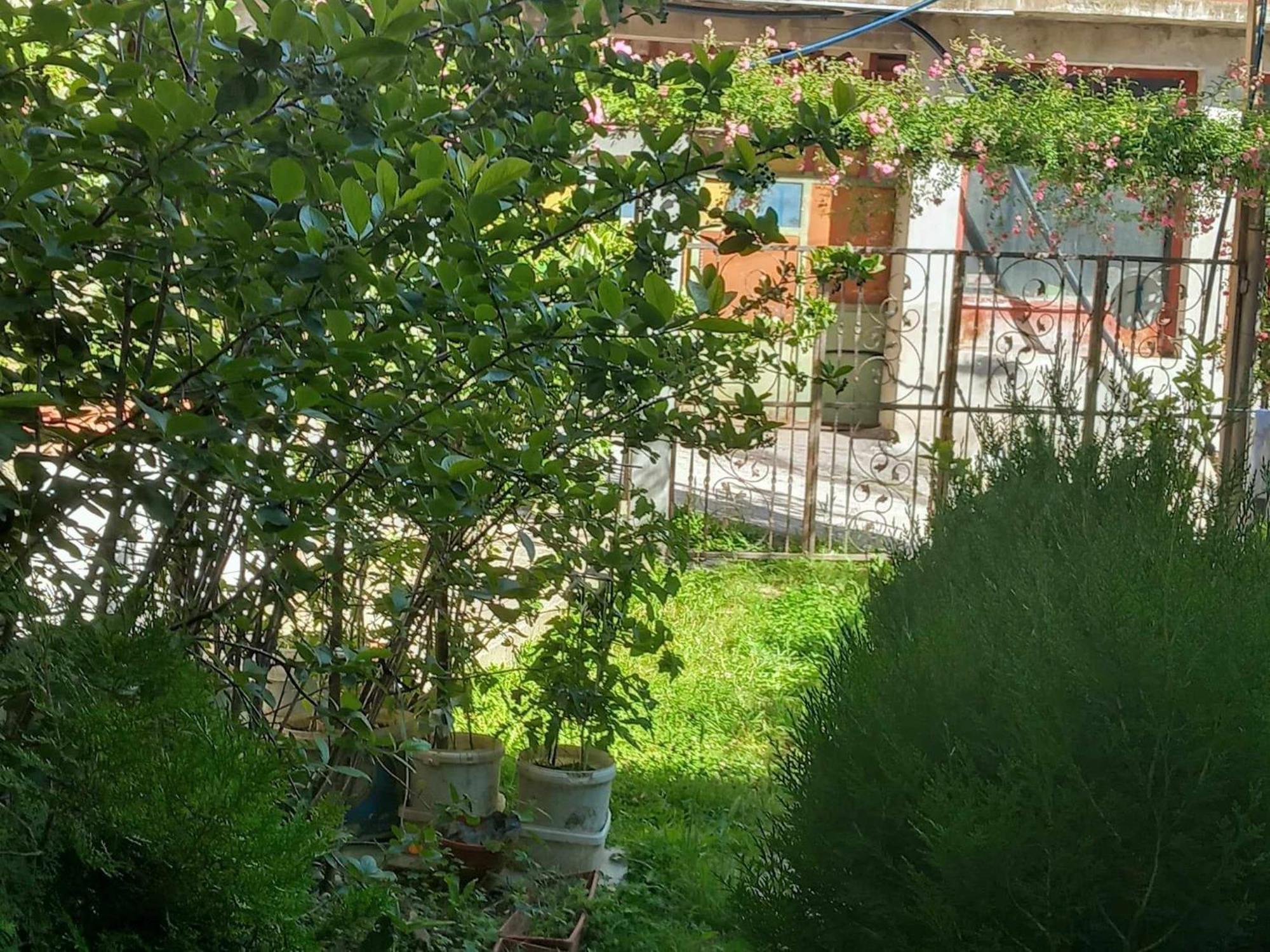 Apartman Turkana 1 SJJ Exteriér fotografie